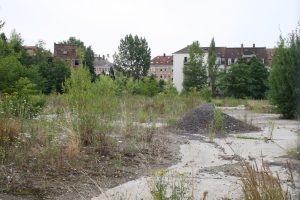 Städtische Brachfläche mit Pflanzenwuchs, Häuser im Hintergrund.