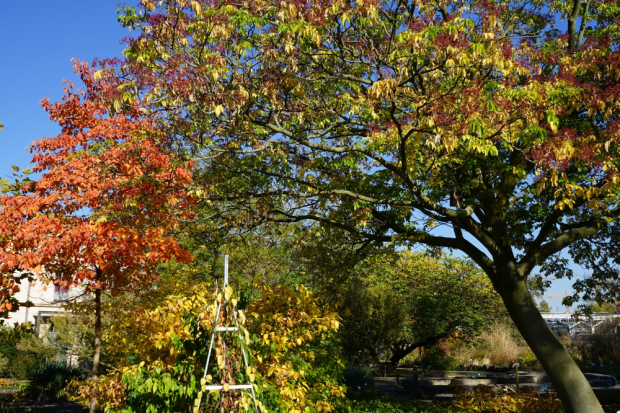 Leipziger Internet Zeitung Goldener Herbst Im Botanischen Garten