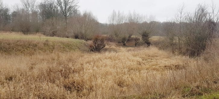 Der alte Luppe-Verlauf ist im Gelände noch sehr gut zu sehen. Foto: NuKLA e.V