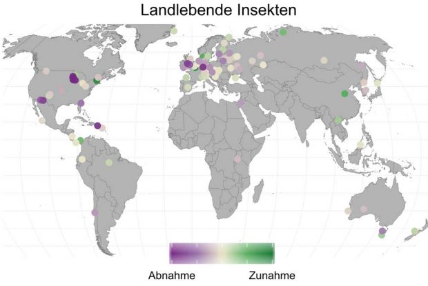 Die verschiedenen Studien zu landlebenden Insekten. Bild: Roel van Klink. Angepasst von van Klink et al. (2020), Science. Mit Genehmigung von AAAS