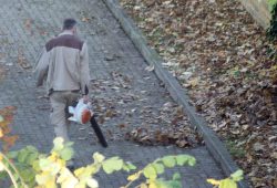 Leaf blower at work.  Photo: L-IZ