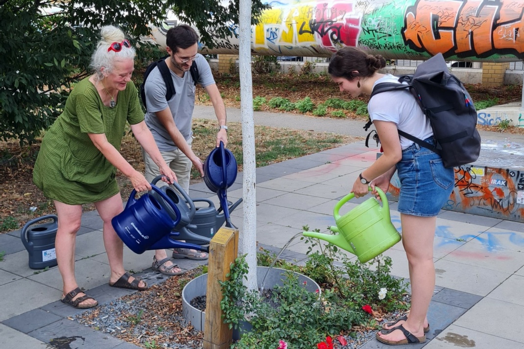 Drei Menschen gießen einen Stadtbaum