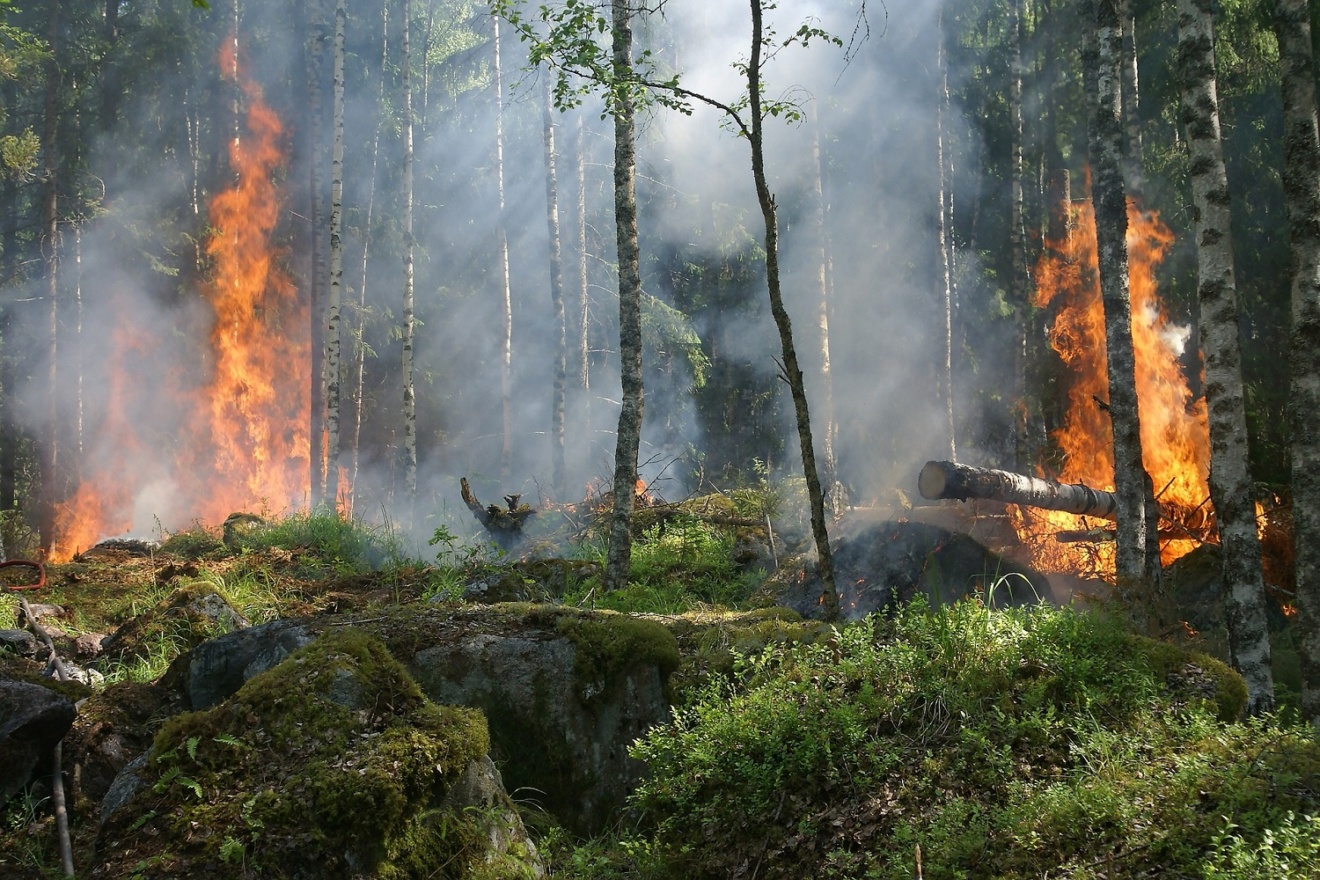 Freitag, der 6. September 2024 Betretungsverbot im Nationalpark