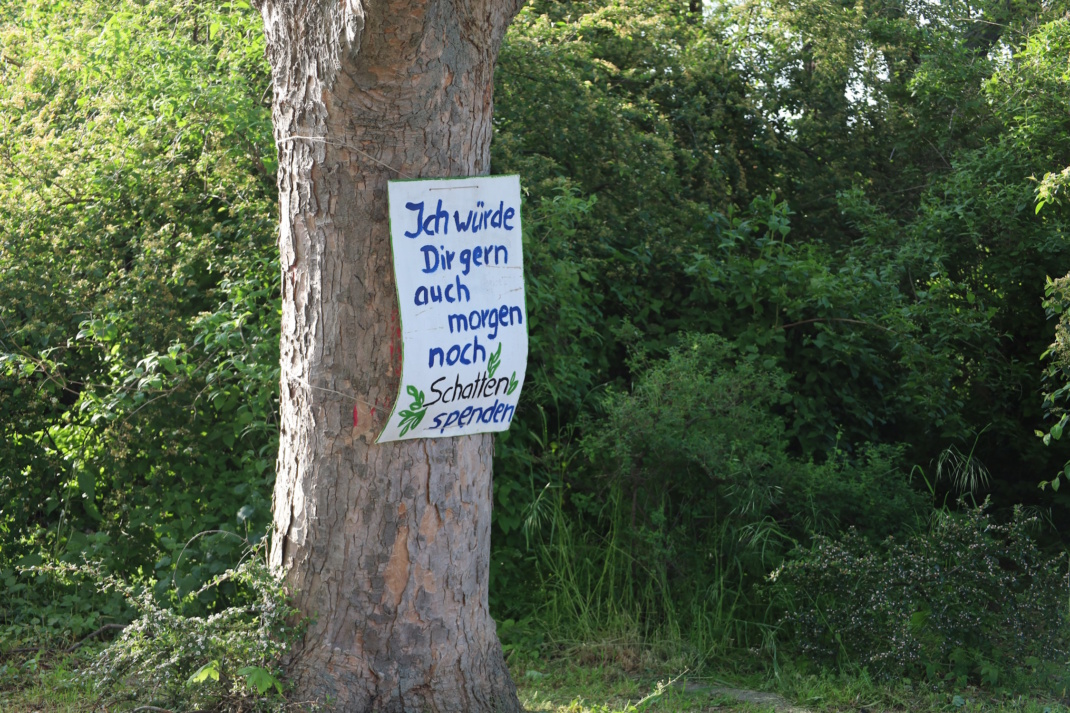 Protestplakat an Baumstamm.