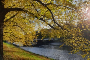 Leipzig im Herbst. Foto: Jan Kaefer