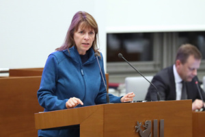 Ute Köhler-Siegel (SPD) im Leipziger Stadtrat.