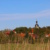 Pödelwitz, Häuser, Kirchturm und blauer Himmel.