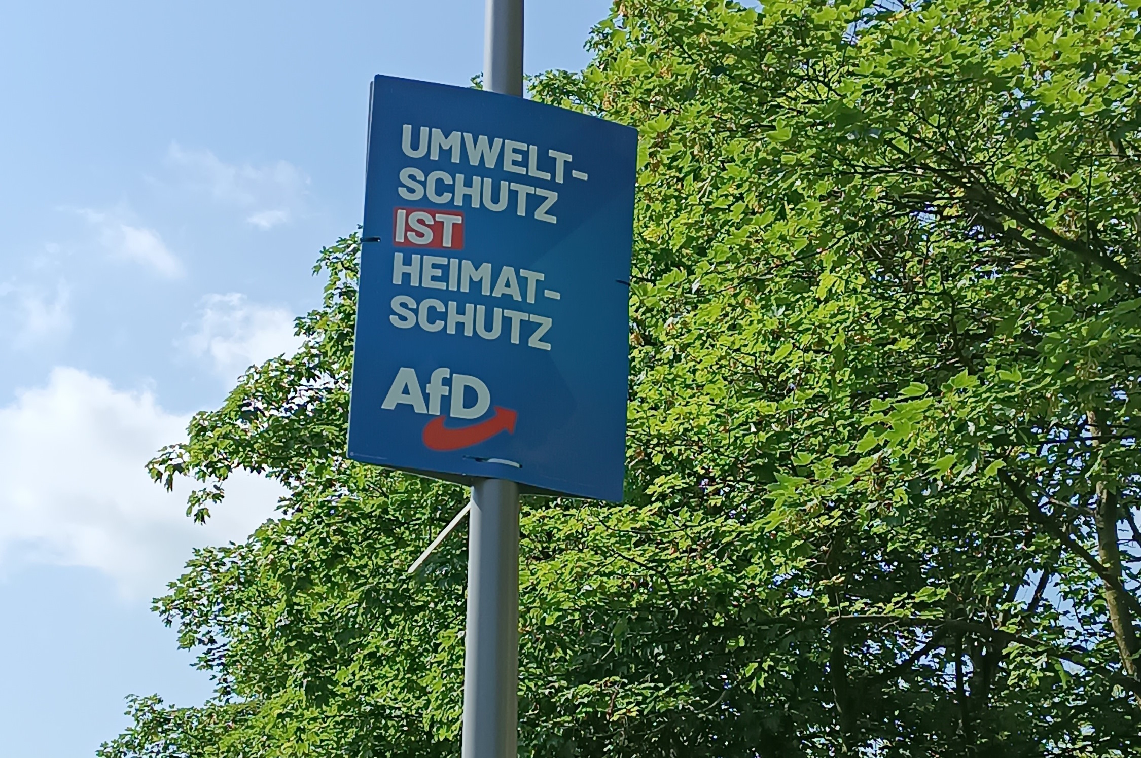 AfD-Plakat mit Umweltschutz. Foto: Thomas Köhler
