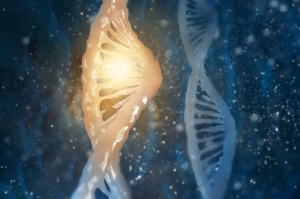 Die DNA eines Menschen kann in Milliarden kleinen Abschnitten gelesen werden. Foto: Colourbox
