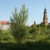 Noch unbebautes Jahrtausendfeld; Platz mit Baumbewuchs, i m Hintergrund Haus und Kirche.