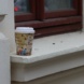 Kaffeebecher auf Fensterbrett.