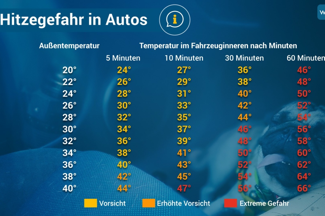 Außentemperatur und Temperatur im Fahrzeuginneren nach Minuten. Quelle: WetterOnline