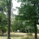 Friedhof, Wiese und Bäume.