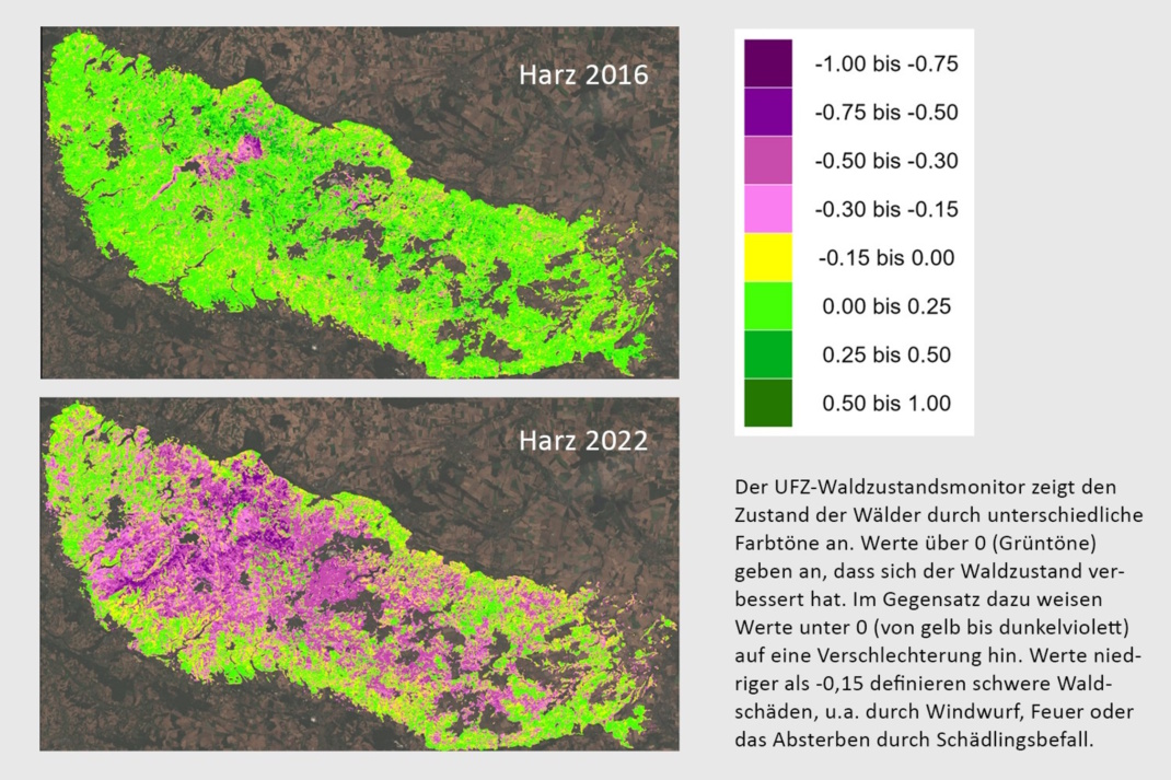 Grafik zur Waldschädigung.