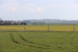 Landschaft mit Feldern und Wiesen.