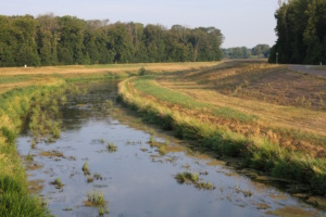 Fluss in der Landschaft.