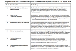 Die Abstimmungskandidaten zum Tauchaer Bürgerhaushalt. Grafik: Stadt Taucha