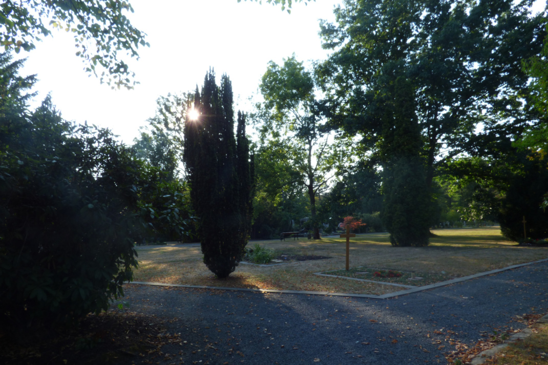 Friedhof, Sonnenlicht und Grabsteine.