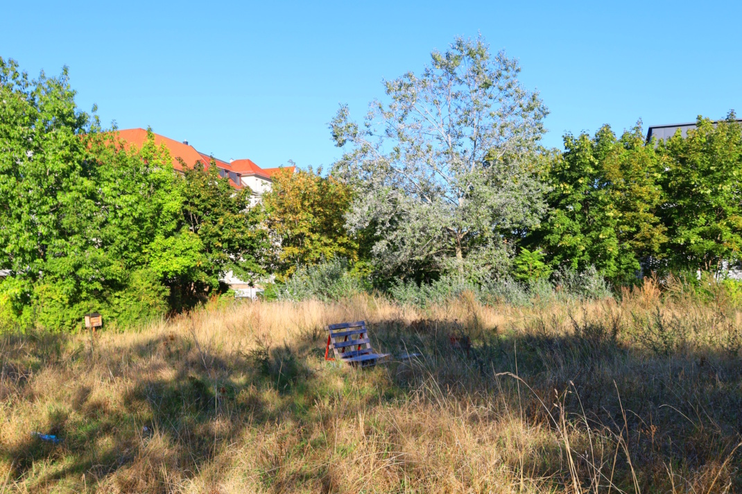 Städtische Grünfläche, blauer Himmel.