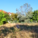 Städtische Grünfläche, blauer Himmel.