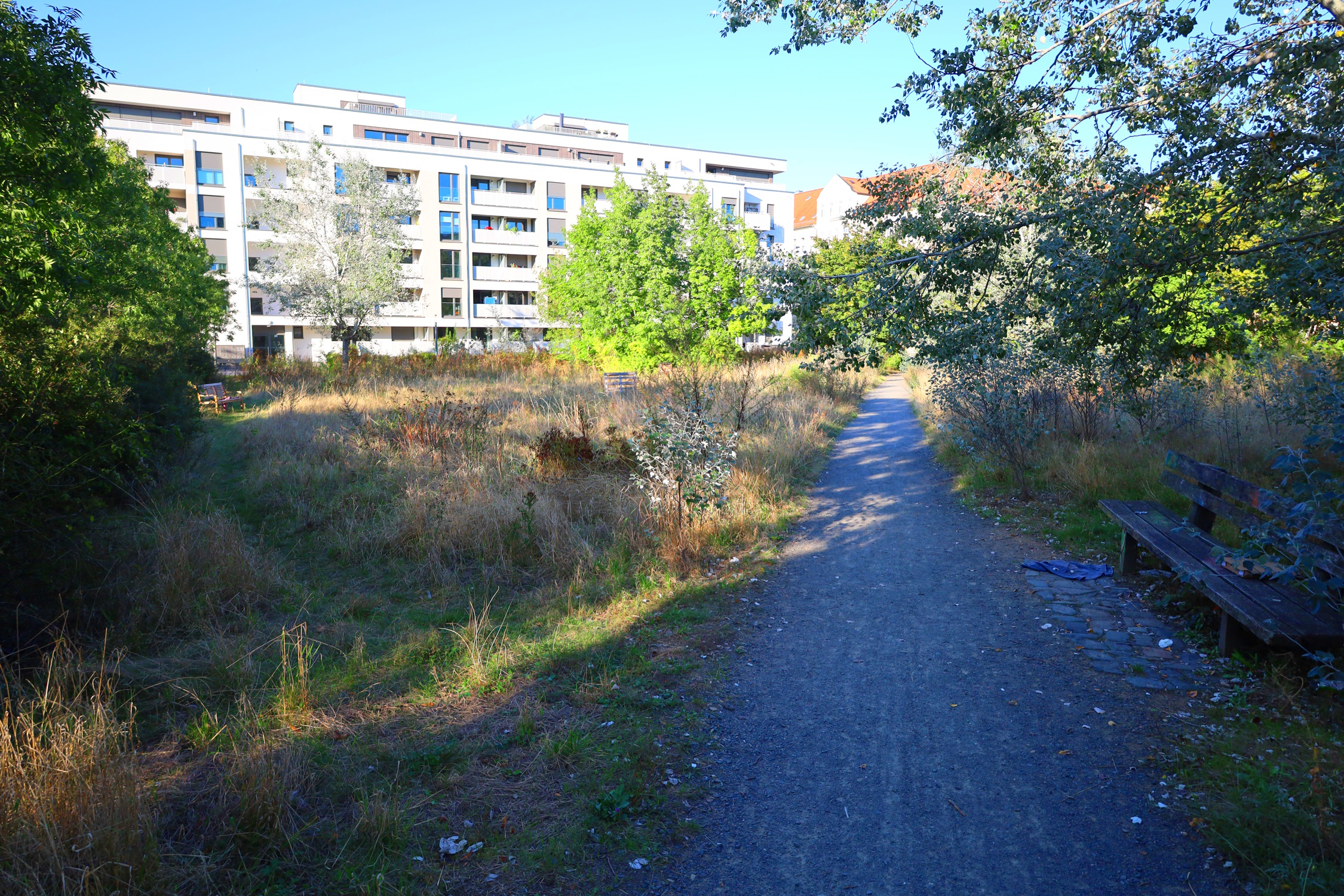 Urbane Grünfläche, Wohnhäuser.