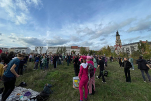 Hunderte Menschen auf einer Wiese