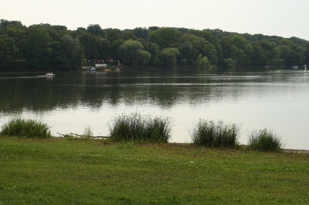 See, Bäume, Sträucher und Wiese.