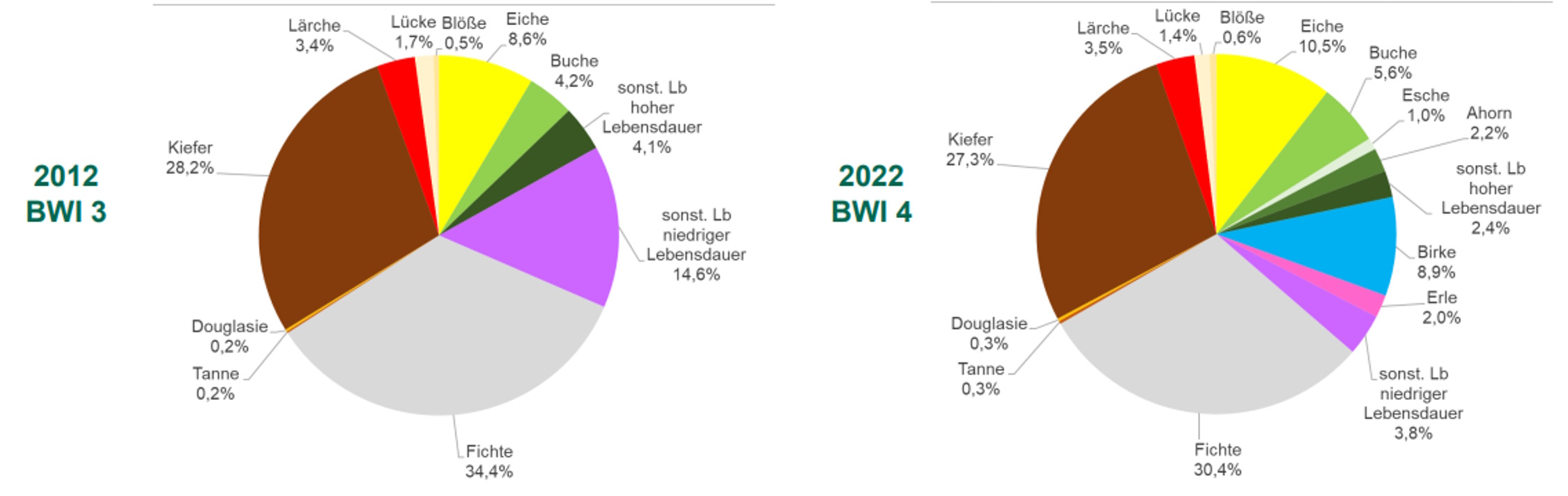 Veränderung der Baumzusammensetzung in Sachsens Wäldern von 2012 bis 2022. Grafik: Freistaat Sachsen, SMEKUL