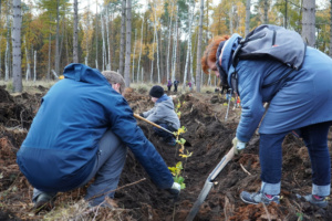 Die „Kraft-Bäume“ im neu angelegten UKL-Wald stehen für individuelle Hoffnungen im Kampf gegen Krebs und universelle Symbole für Kraft und Nachhaltigkeit. Foto: privat