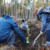 Die „Kraft-Bäume“ im neu angelegten UKL-Wald stehen für individuelle Hoffnungen im Kampf gegen Krebs und universelle Symbole für Kraft und Nachhaltigkeit. Foto: privat