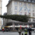 Aufstellen des Weihnachtsbaumes auf dem Leipziger Marktplatz am 07.11.2024. Foto: Jan Kaefer