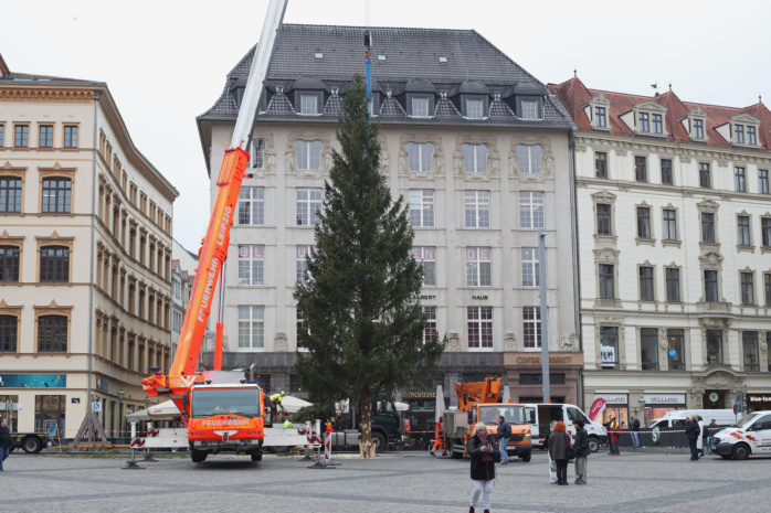 Aufstellen des Weihnachtsbaumes auf dem Leipziger Marktplatz am 07.11.2024. Foto: Jan Kaefer