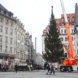 Aufstellen des Weihnachtsbaumes auf dem Leipziger Marktplatz am 07.11.2024. Foto: Jan Kaefer