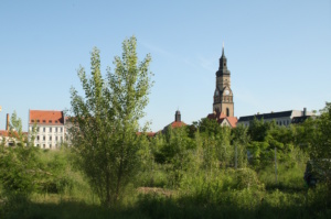 Blick über das Jahrtausendfeld. Foto: Ralf Julke