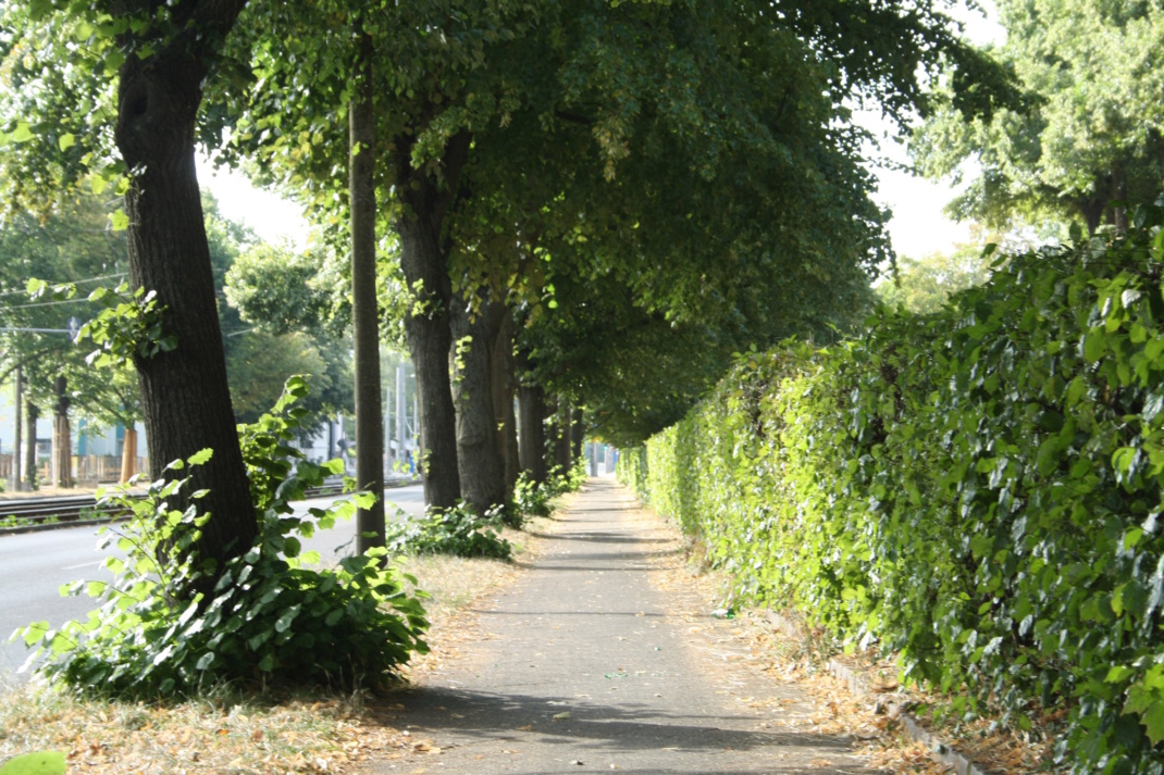 Für beide Verkehrsarten eigentlich zu schmal: der stadtauswärtige Fuß-/Radweg. Foto: Ralf Julke