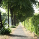 Für beide Verkehrsarten eigentlich zu schmal: der stadtauswärtige Fuß-/Radweg. Foto: Ralf Julke