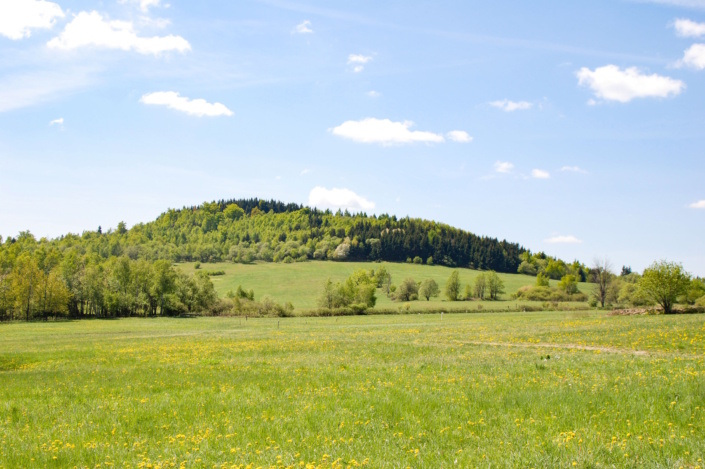 Sattelbergwiese im Osterzgebirge, grüne Wiese, Wolken und blauer Himmel.