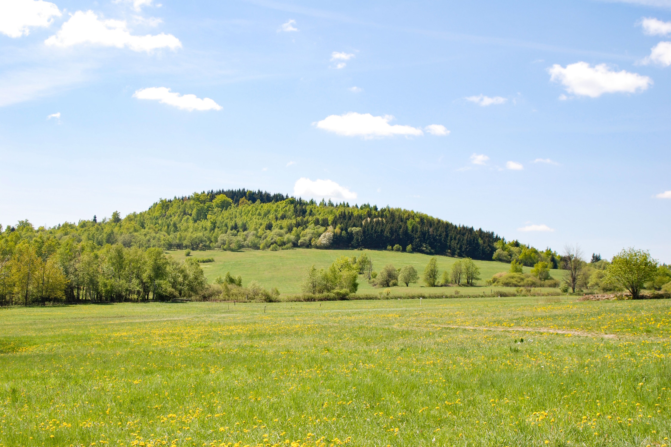 EuGH-Urteil-best-tigt-NABU-Sachsens-Bergwiesen-d-rfen-kein-Bauland-sein