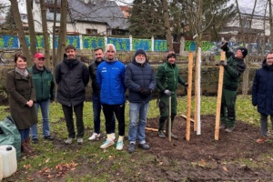 Baumpflanzung am Großen Schöppenteich. Foto: Stadtverwaltung Taucha