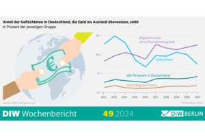 Geldüberweisungen ins Ausland nach Bevölkerungsgruppen, grafische Aufbereitung.