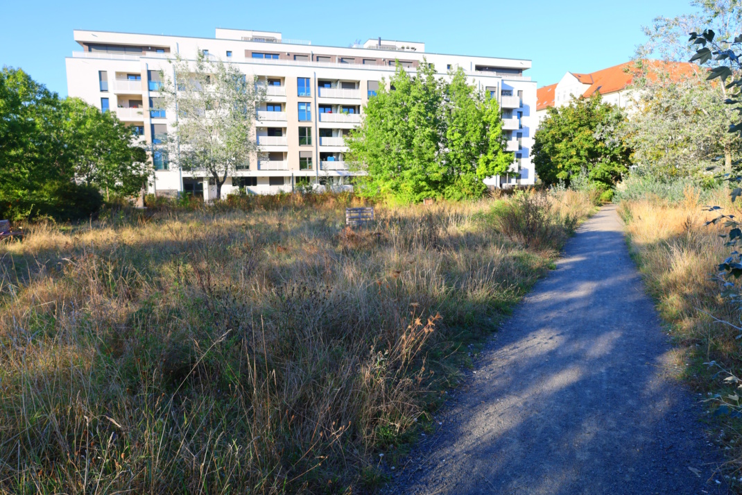 Die begrünte Brache am Gerichtsweg.