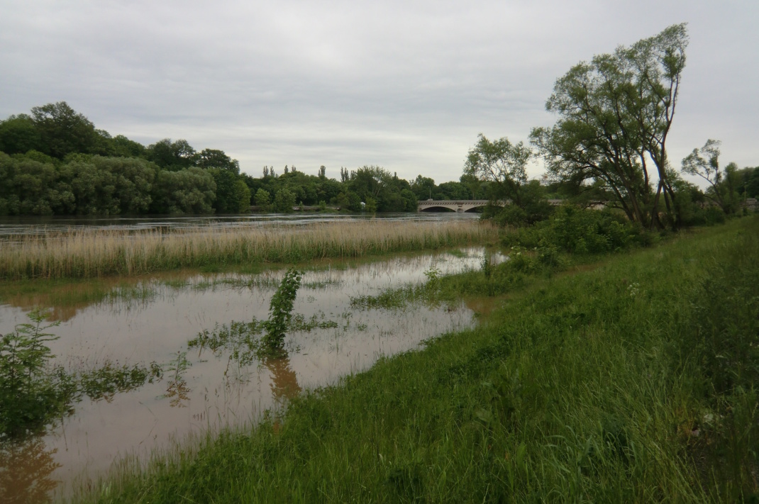 Hochwasser am Elsterbecken.