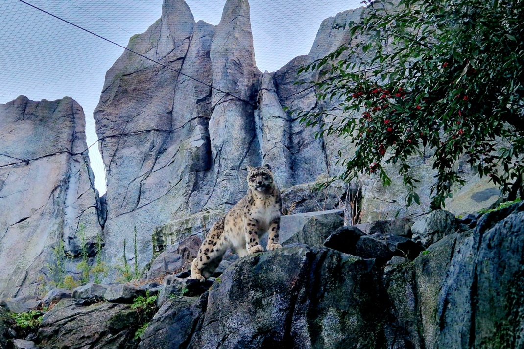 Ausblick auf das Tropenleuchten und das neue Jahr @ Zoo Leipzig