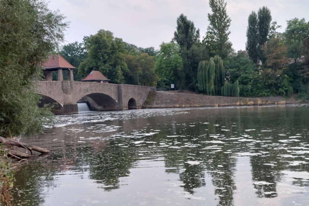 Das Elsterbecken am Palmengartenwehr. Foto: Sabine Eicker