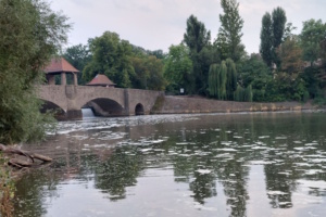 Das Elsterbecken am Palmengartenwehr. Foto: Sabine Eicker